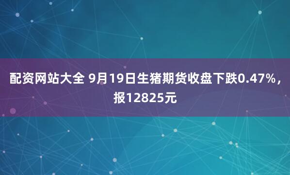 配资网站大全 9月19日生猪期货收盘下跌0.47%，报12825元