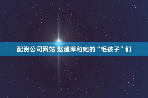 配资公司网站 赵建萍和她的“毛孩子”们